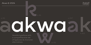 Akwa, a Sans Serif Font by HeadFirst
