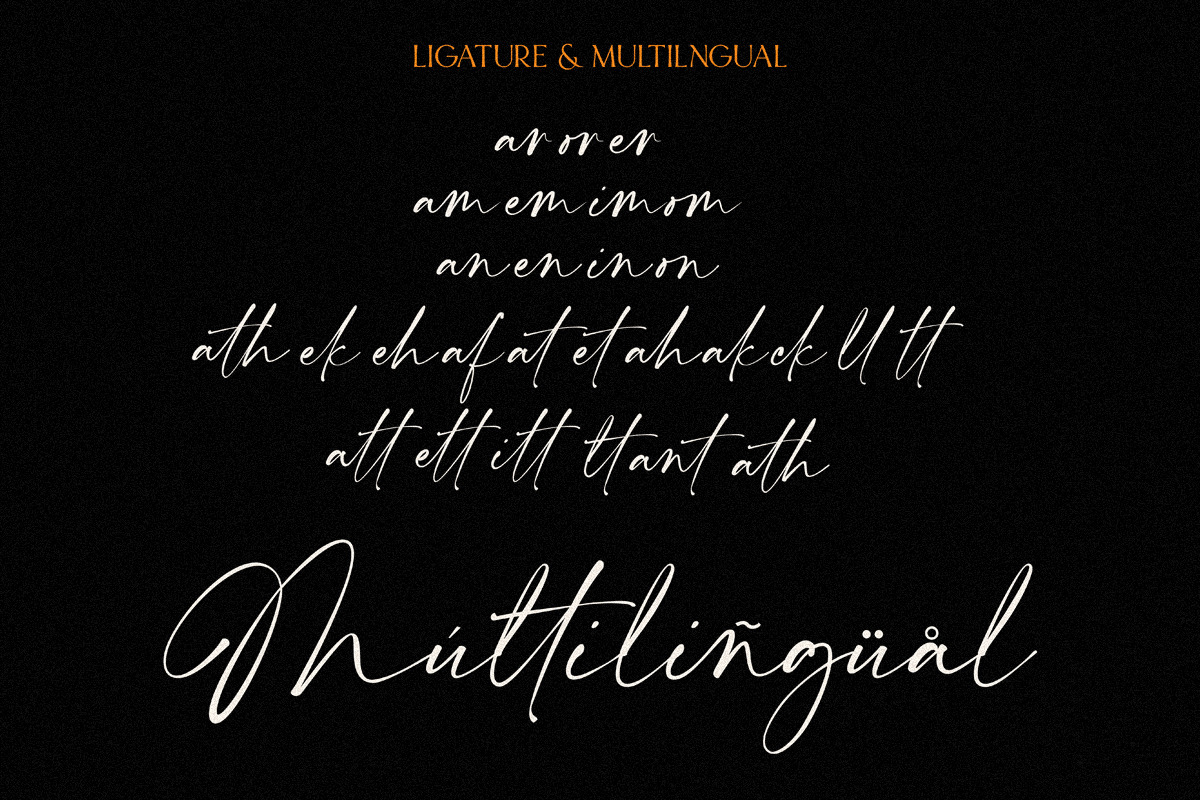 Modern Sensation | Pair Font, a Handwritten Font by typeline studio (Photo 14 of 14)