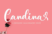 Handwritten Fonts Bundle, a Font by ThePhoton (Thumbnail 12 of 29)