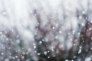 Winter background stock photo containing snow and wallpaper