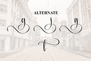 Vintage | Script Font, a Handwritten Font by Scratchones (Thumbnail 8 of 9)