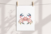 Watercolor Sea Crab Clipart Set, an Illustration by Libby Wishes (Thumbnail 4 of 8)
