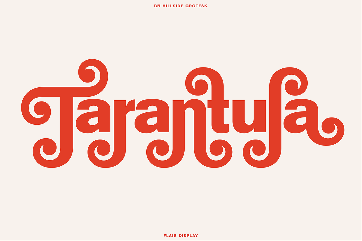 BN Hillside Grotesk, a Sans Serif Font by Bnick (Photo 4 of 14)