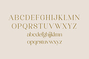 Quahon Modern Stylish Font, a Script Font by Storytype Studio (Thumbnail 11 of 15)