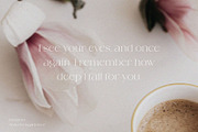 Bargemo – Modern Elegant Serif, a Serif Font by BrandSemut (Thumbnail 2 of 10)