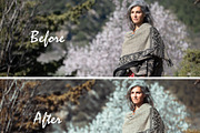 Earthy Lightroom Presets., an Action Add-On by MorningStar (Thumbnail 4 of 11)
