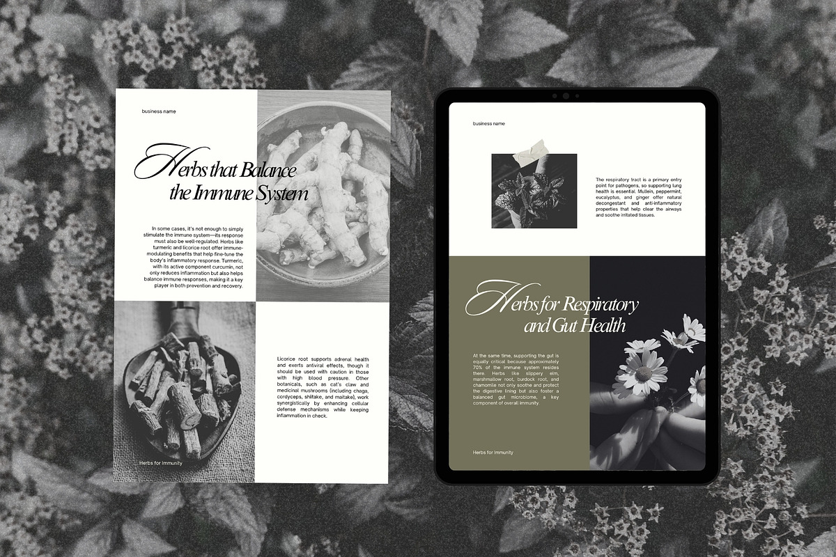Herbal Medicine Ebook Template, a Magazine Template by Terraa Studio Design (Photo 7 of 9)
