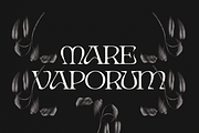 Ark - Psychedelic Art Nouveau Serif, a Serif Font by Fenotype (Thumbnail 6 of 13)