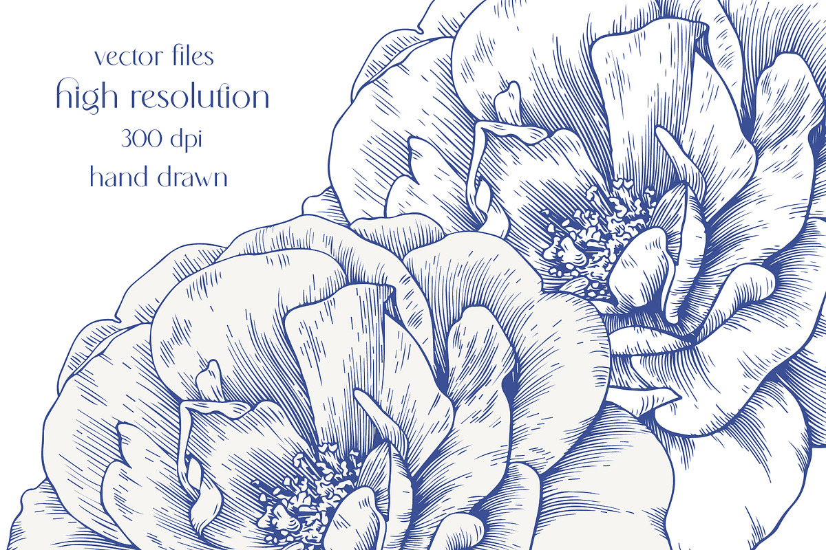 Roses Vintage set Blue Toile Vector, an Object Graphic by ON_lineart_store (Photo 9 of 10)