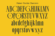 Palmer Florida, a Serif Font by zeenesia (Thumbnail 17 of 18)