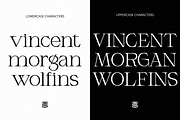 Armeston - Modern Serif, a Serif Font by tebaltipislab (Thumbnail 10 of 15)