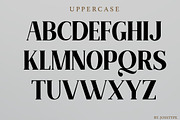 Marselind Serif font, a Sans Serif Font by josstype (Thumbnail 8 of 9)