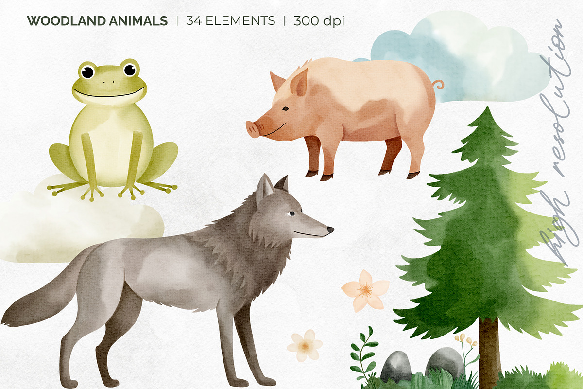 Woodland Animals. Watercolor Clipart, an Illustration by Hanna's ArtLab (Photo 3 of 4)