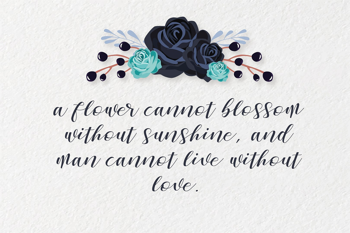 ZELIFA - Romantic Script preview 8