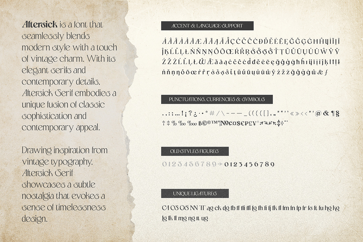 Aftersick - Display Font, a Serif Font by Prominent & Affluent (Photo 9 of 10)