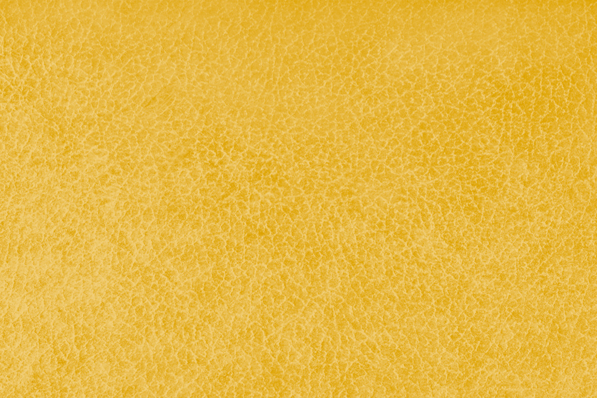Golden Leather