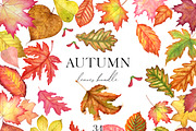 Autumn leaves watercolor clipart, a Background Graphic by Watercolor Clipart (Thumbnail 1 of 4)