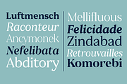 Clarinette Bold, a Serif Font by OceaneM (Thumbnail 4 of 6)