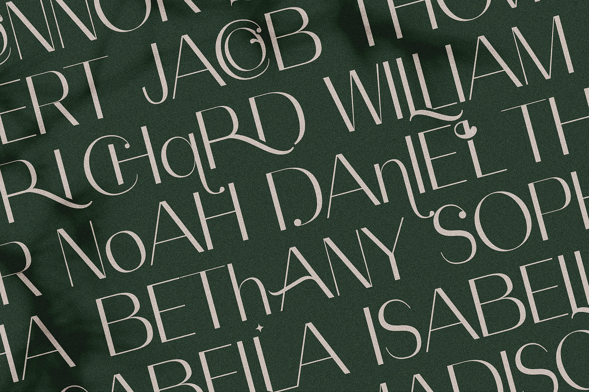 Celine - Chic Ligature Sans & Extras, a Sans Serif Font by SilverStag Type Foundry (Photo 11 of 23)