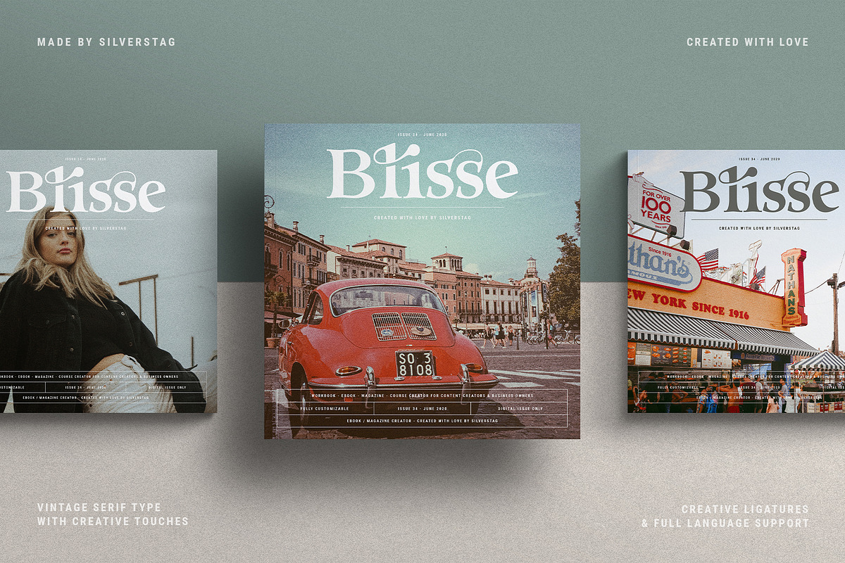 Eighties Nostalgia - Ligature Serif, a Serif Font by SilverStag Type Foundry (Photo 3 of 20)