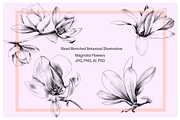 Hand Sketched Magnolia, an Object Graphic by VictoriaKStudio (Thumbnail 1 of 6)