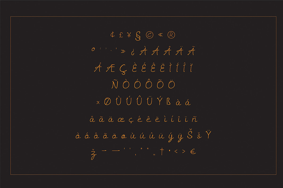 Sannisa Script + Swash (Update), a Script Font by Crenadhif Studio (Photo 9 of 10)