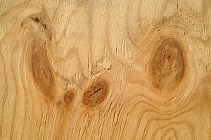 Wood Panel - Texture