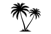 Tropical Palm Tree Bundle, an Illustration by BIPLOB EXPERT (Thumbnail 3 of 21)