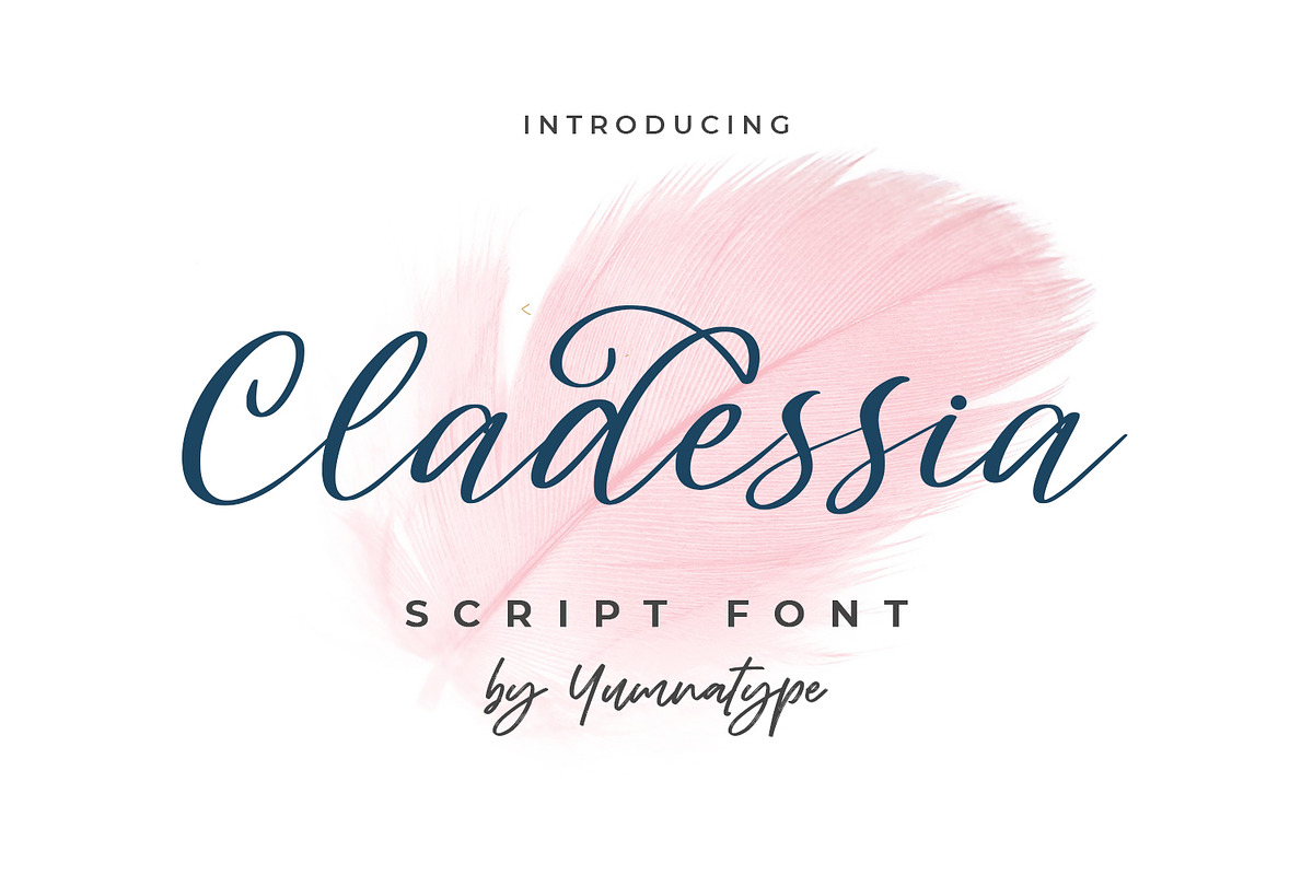 Cladessia, a Script Font by Ditatype (Photo 8 of 8)
