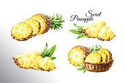 Tropical Pineapple. Hand painted, a Food Illustration by Daria Ustiugova (Thumbnail 3 of 28)