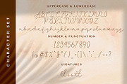 Allise - Signature Script Font, a Script Font by StringLabs (Thumbnail 8 of 10)