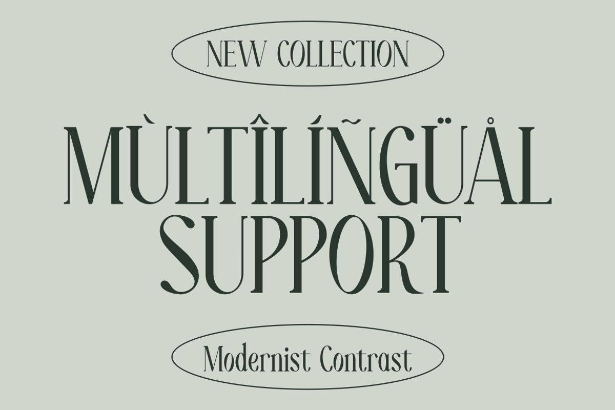 Moelina - A Modern Serif Font, a Serif Font by Marvadesign (Photo 4 of 8)