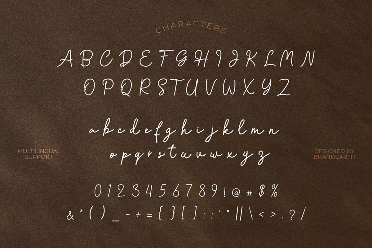 Fellina - Monoline Script Font, a Script Font by Brand Earth (Photo 2 of 7)