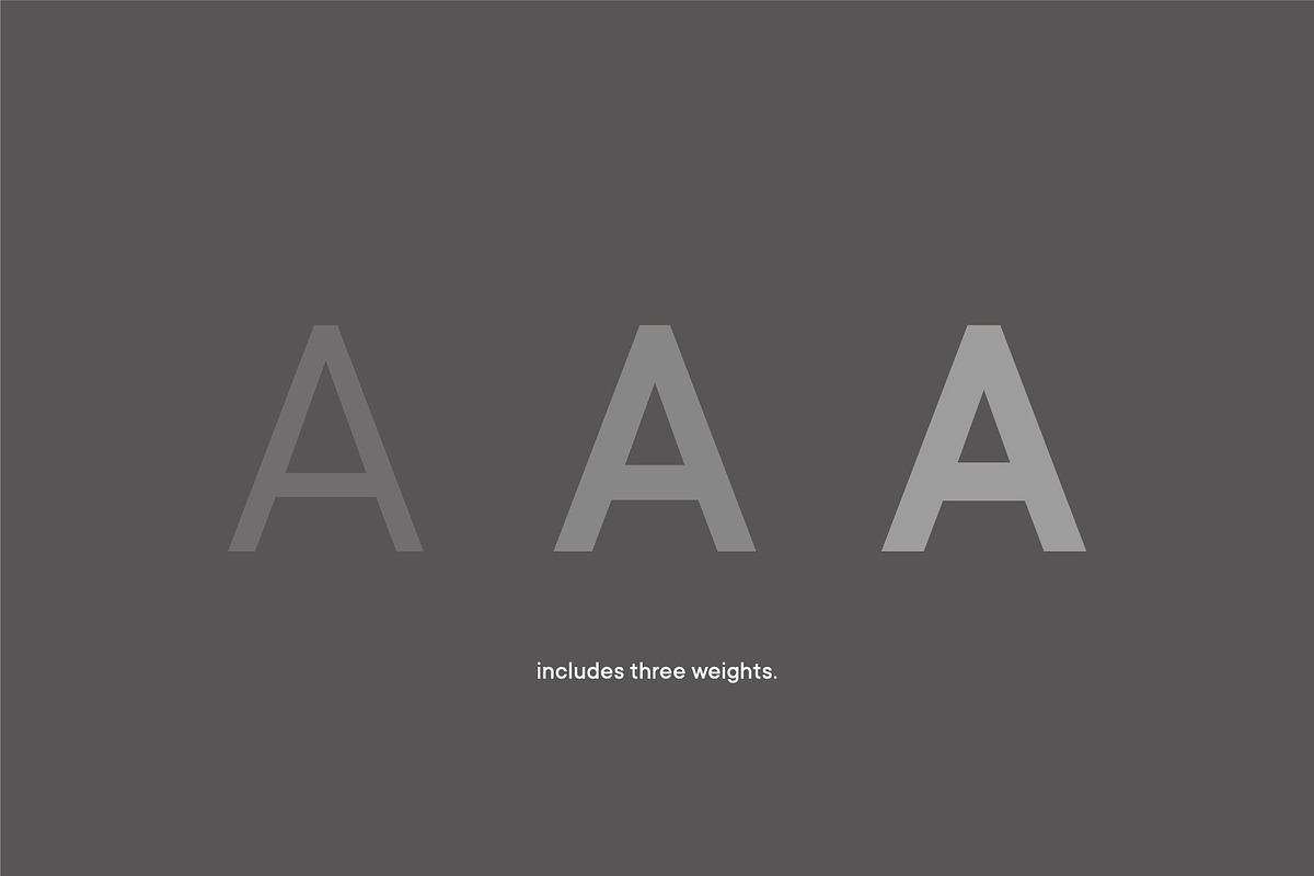 CP ONE Sans Serif Font Family preview 4