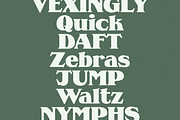 MC Supra Soft, a Serif Font by McLetters (Thumbnail 6 of 11)
