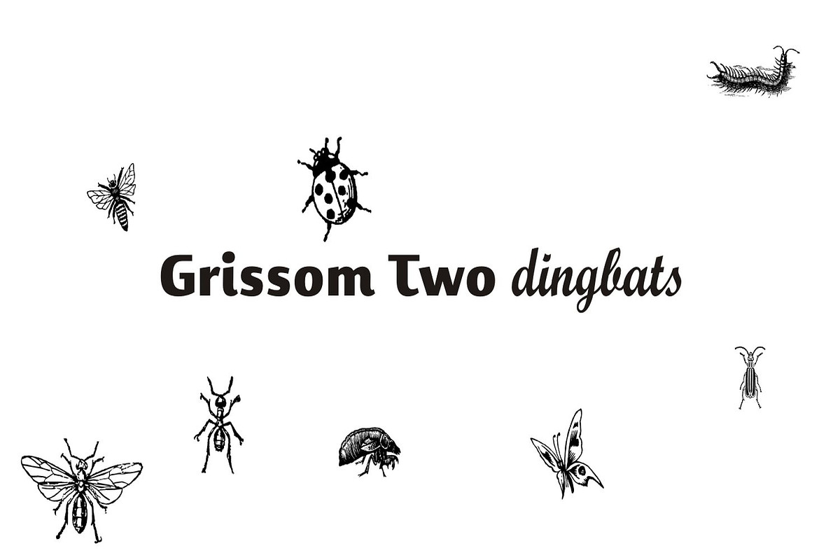 Grissom, a Symbol Font by Intellecta Design