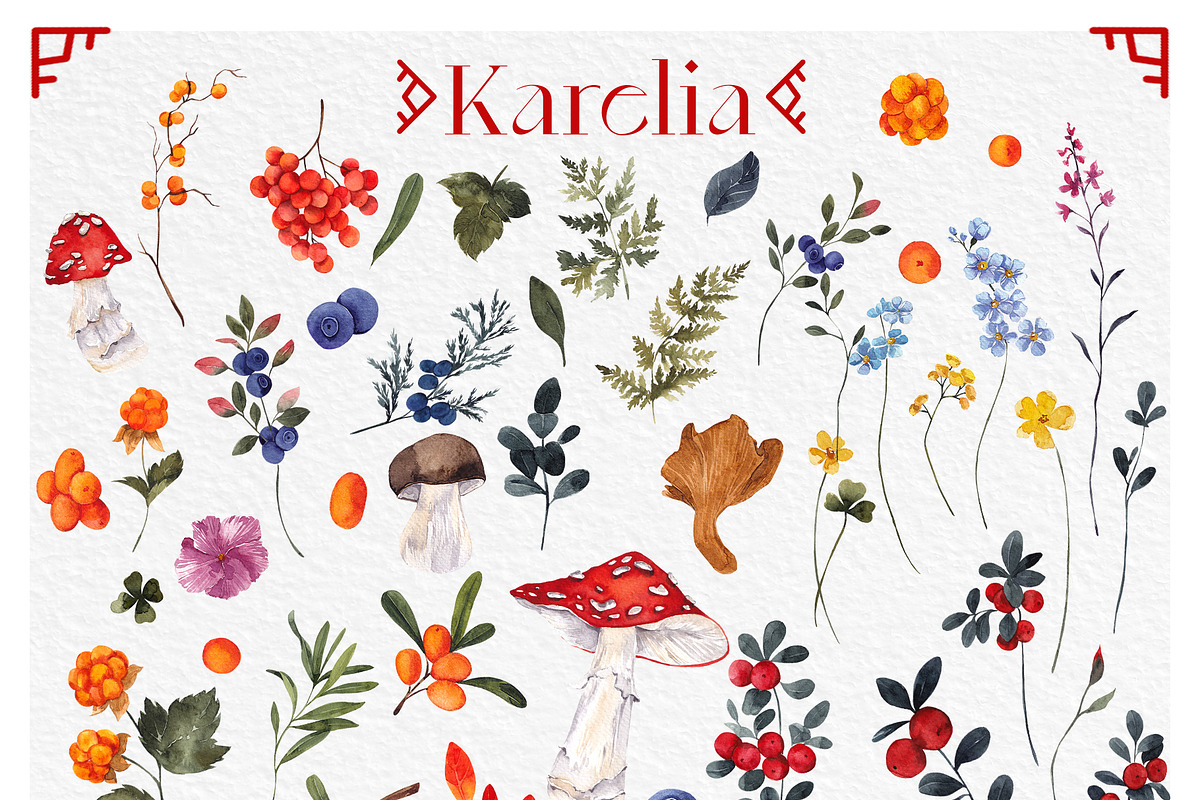 Karelia. North berry watercolor, an Object Graphic by ma_i_vi (Photo 3 of 10)