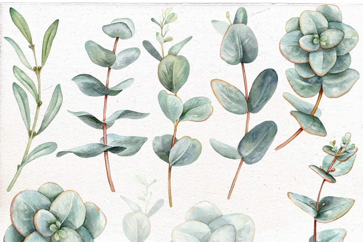 Watercolor Eucalyptus clip art., a Decorative Illustration by Mary (Photo 2 of 4)