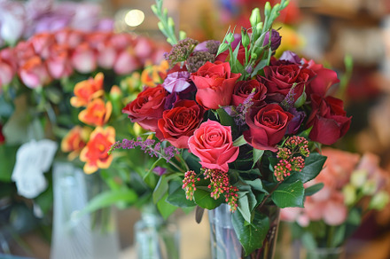 Vibrant Arrangement of Red Roses, Lu, a Photo by Tanuart