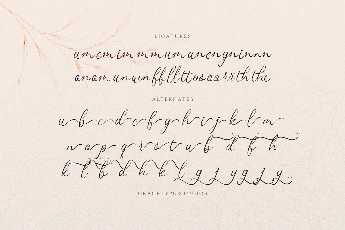 Mafuinka | Classic Calligraphy, a Script Font by gracetype_studio (Photo 12 of 12)