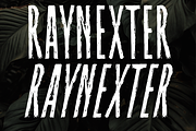 Raynexter – Condensed Brush Font, a Sans Serif Font by Fikryal Studio (Thumbnail 8 of 11)