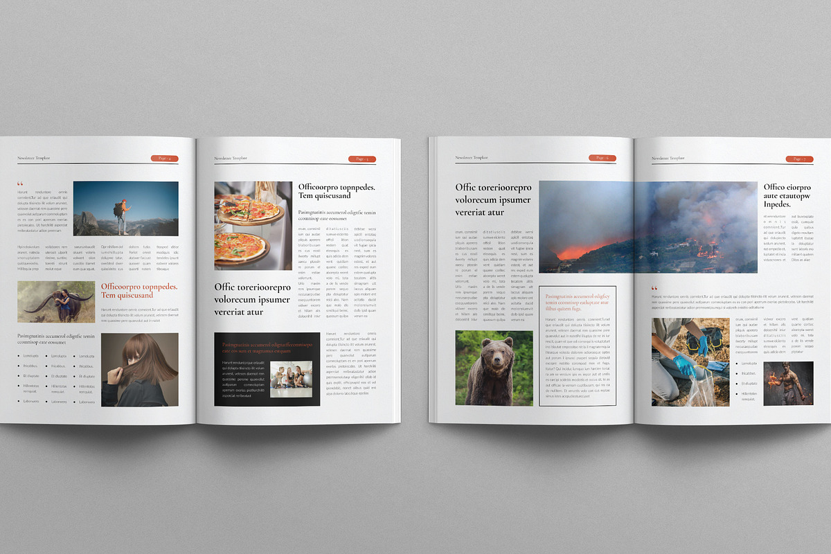 News Letter Template, a Brochure Template by E-Type (Photo 3 of 6)