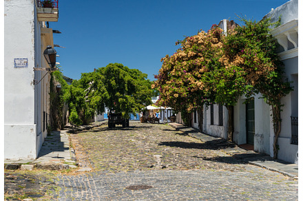 Cobblestone street in historical, an Architecture Photo by Backyard Stock