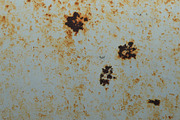 Rust Spots On White Paint Texture, a Photo by Texture Pics (Thumbnail 1 of 2)