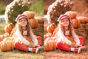 The Autumn Lightroom Presets