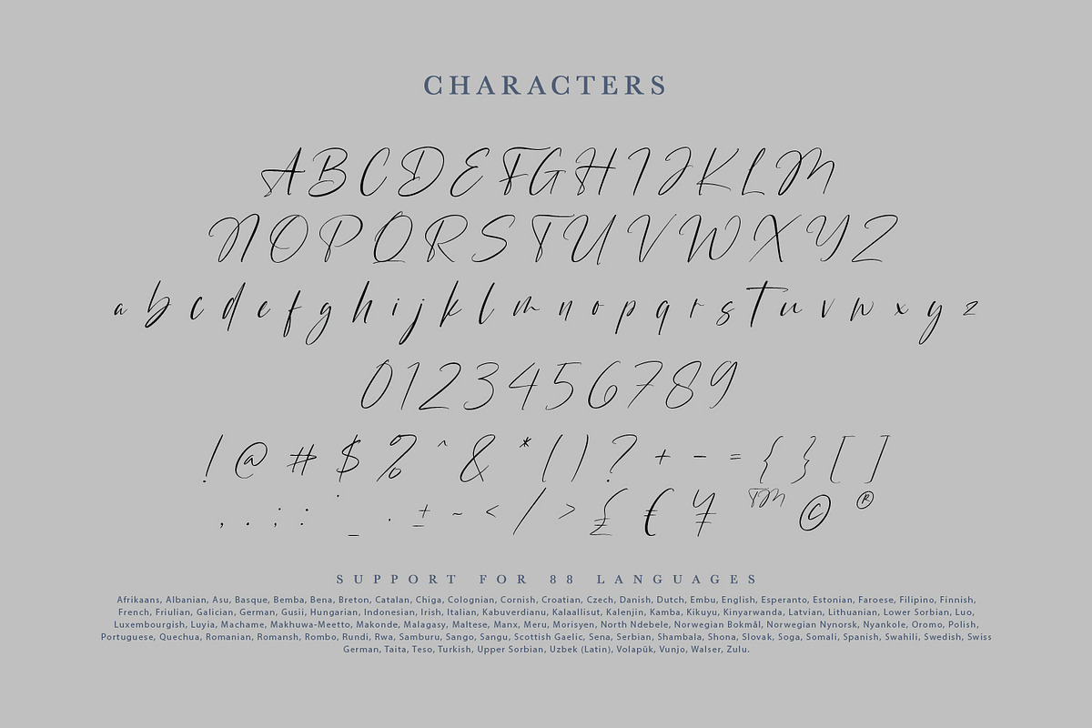 Victoria Smitters, a Script Font by din-studio.com (Photo 9 of 10)