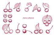 Cherry Vector Collection, a Food Illustration by Lubov Illustrations Shop (Thumbnail 2 of 7)