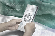 150 items. Mandalas and Elephant, an Animal Illustration by anvinoart (Thumbnail 3 of 10)