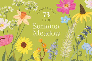 Summer Meadow Wildflower