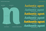 Convexion, a Serif Font by Typogama (Thumbnail 2 of 10)